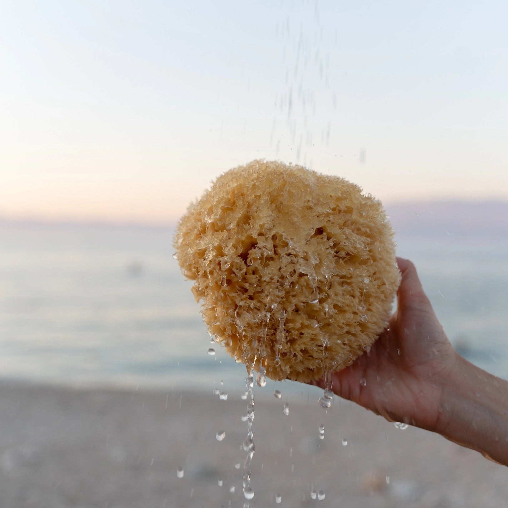 KARA Natural Sea Sponge – Soft Exfoliating Body Sponge – Alethia Skin