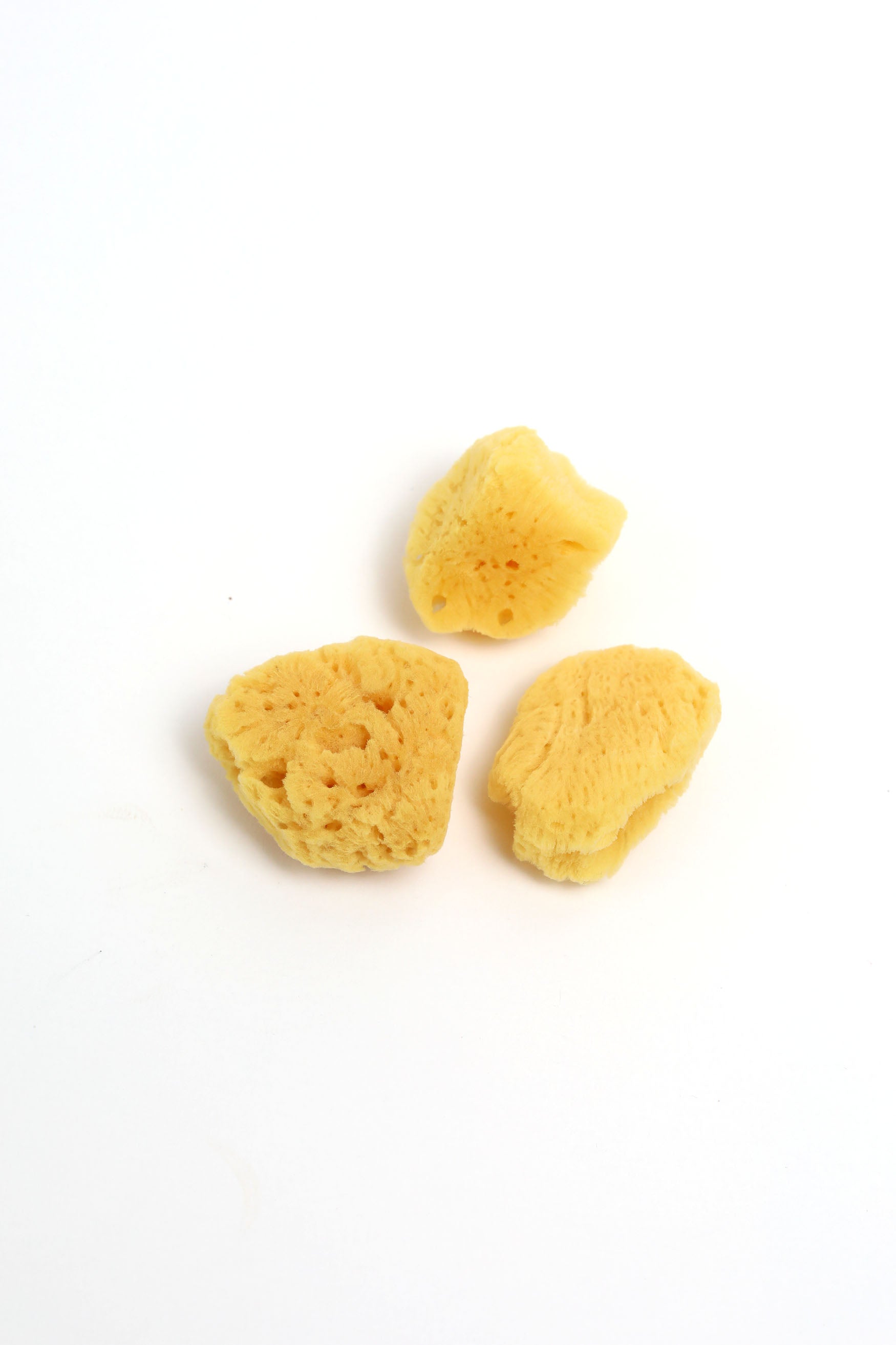 TIIRE Eco-Friendly Facial Sponge – Gentle Exfoliating Face Sponge – Alethia Skin