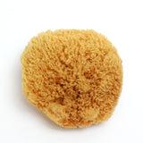 KARA Natural Sea Sponge – Soft Exfoliating Body Sponge – Alethia Skin