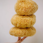 KARA Natural Sea Sponge – Soft Exfoliating Body Sponge – Alethia Skin