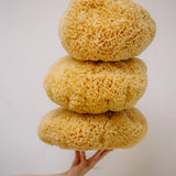 KARA Natural Sea Sponge – Soft Exfoliating Body Sponge – Alethia Skin