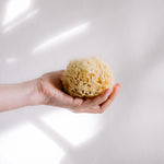 KARA Natural Sea Sponge – Soft Exfoliating Body Sponge – Alethia Skin