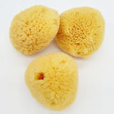 TIIRE Eco-Friendly Facial Sponge – Gentle Exfoliating Face Sponge – Alethia Skin